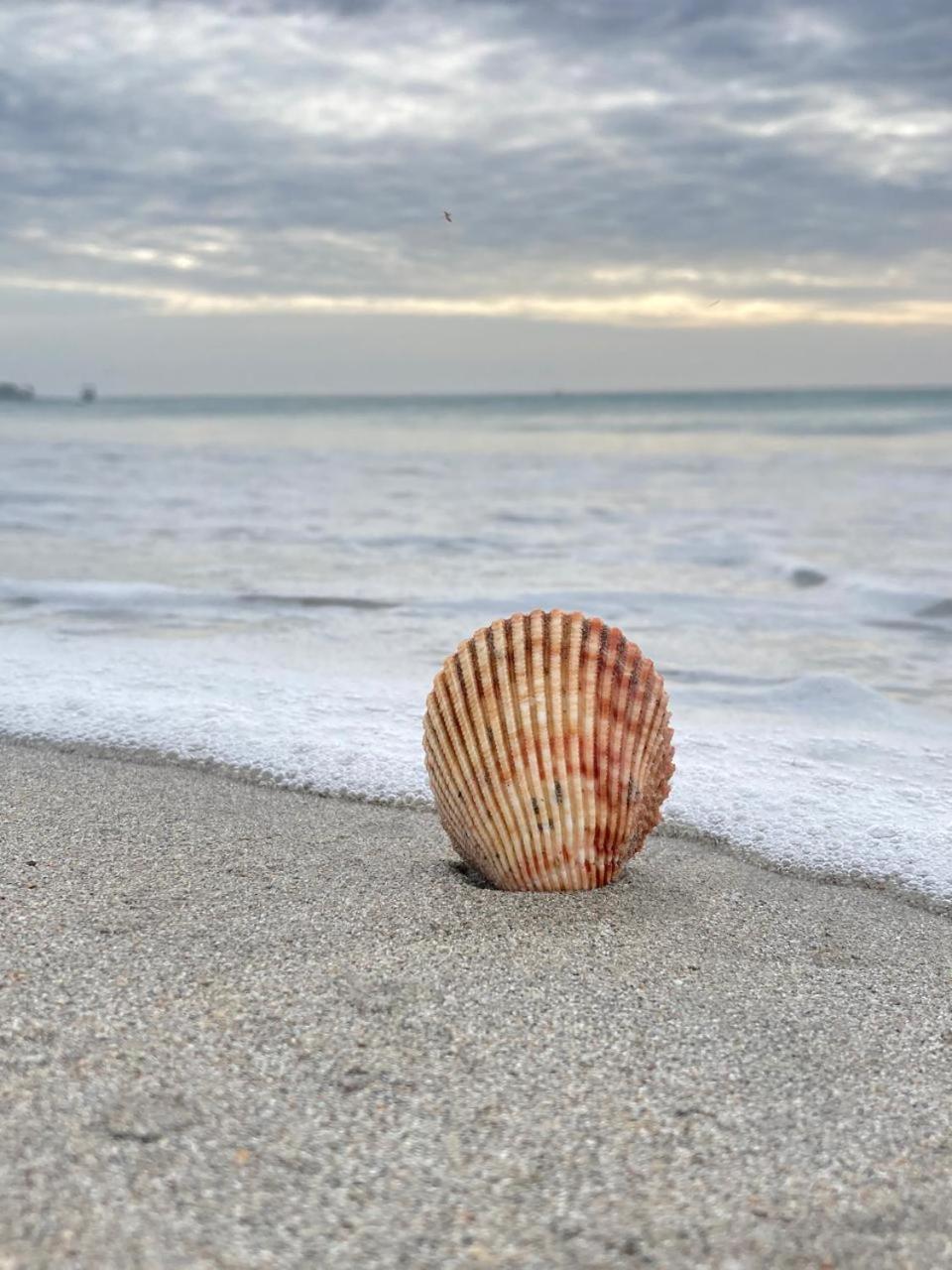 Ceylon Beach Haven Uppuveli Trincomalee Dış mekan fotoğraf