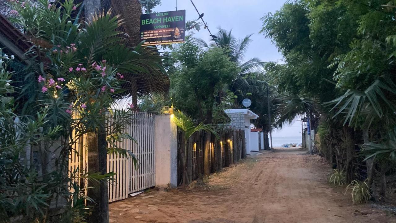 Ceylon Beach Haven Uppuveli Trincomalee Dış mekan fotoğraf