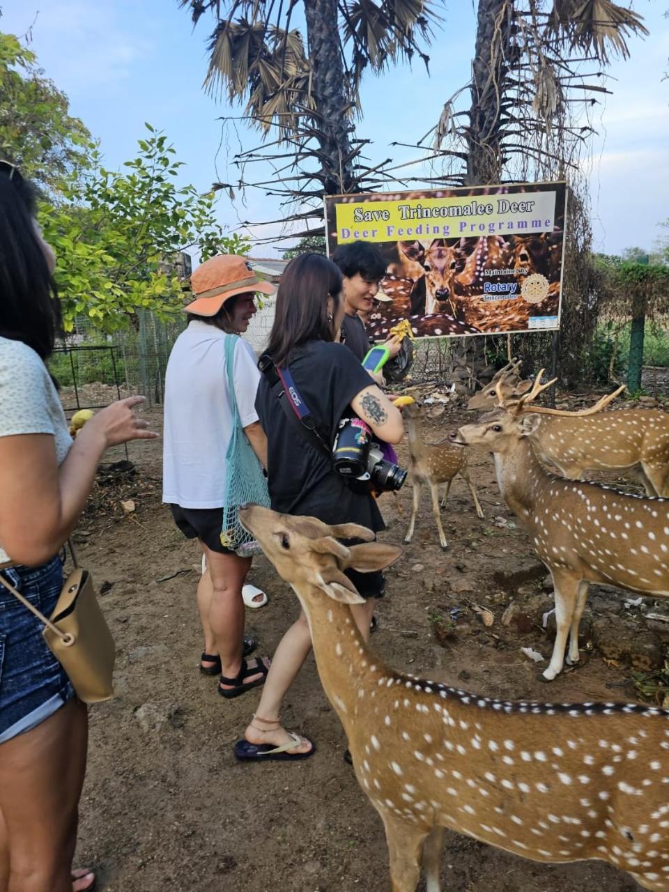 Ceylon Beach Haven Uppuveli Trincomalee Dış mekan fotoğraf